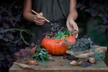 Güzel sonbahar buket kabak vazolar içinde. Cadılar Bayramı için hazırlık