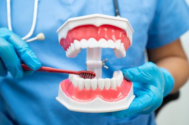 Diş fırçasıyla dişleri temizleyen doktor hasta ve dişçiye diş hekimliği dersi veriyor..