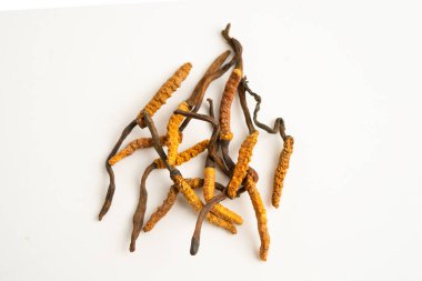 Cordyceps sinensis ya da Ophiocordyceps sinensis beyaz arka planda izole edilmiş, mantar bitkisi tedavisi.