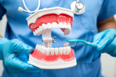 Diş fırçasıyla dişleri temizleyen doktor hasta ve dişçiye diş hekimliği dersi veriyor..