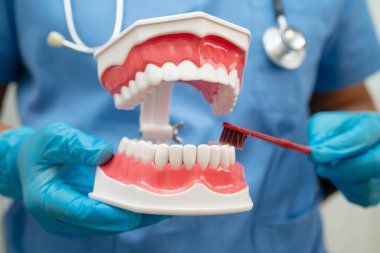 Diş fırçasıyla dişleri temizleyen doktor hasta ve dişçiye diş hekimliği dersi veriyor..