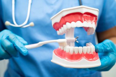 Diş fırçasıyla dişleri temizleyen doktor hasta ve dişçiye diş hekimliği dersi veriyor..