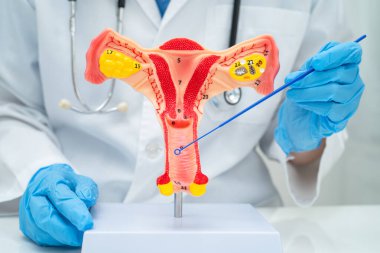 Vajinal ve rahim boynu sıvısı testi için rahmi tutan doktor doğum ve jinekolojiyi kontrol etti..