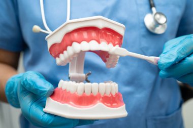 Diş fırçasıyla dişleri temizleyen doktor hasta ve dişçiye diş hekimliği dersi veriyor..