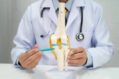 Omurga ve kemik modeli taşıyan Asyalı doktor, ortopedi bölümünde tedavi için bel kemiği yerinden oynamış disk parçası..