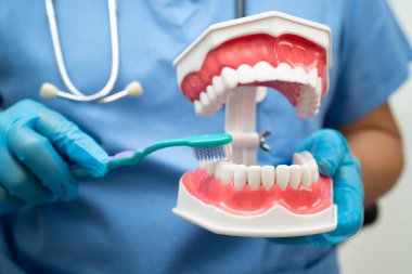 Diş fırçasıyla dişleri temizleyen doktor hasta ve dişçiye diş hekimliği dersi veriyor..