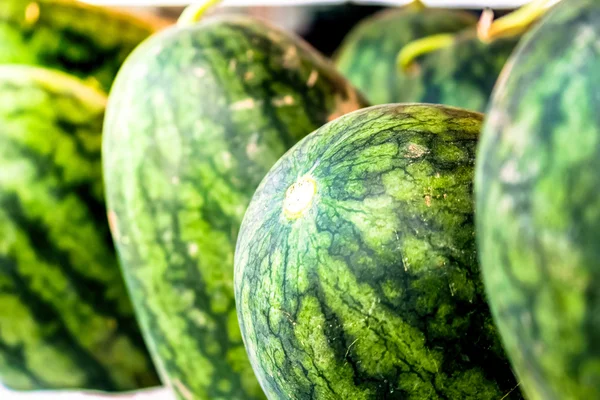 Cerca de sandía en el mercado para la venta — Foto de Stock