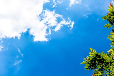 Arka plan gökyüzü bulut duvar kağıdı, güneşli gün, pastel gökyüzü duvar kağıdı olarak açık mavi gökyüzü