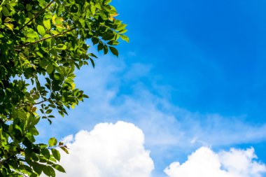 Arka plan gökyüzü bulut duvar kağıdı, güneşli gün, pastel gökyüzü duvar kağıdı olarak açık mavi gökyüzü