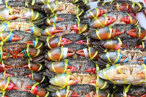 Beaucoup de crabes vivants étant cravate au marché pour la vente — Photo