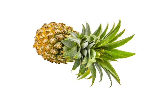 Izolované z ovoce ananas na bílém pozadí — Stock fotografie