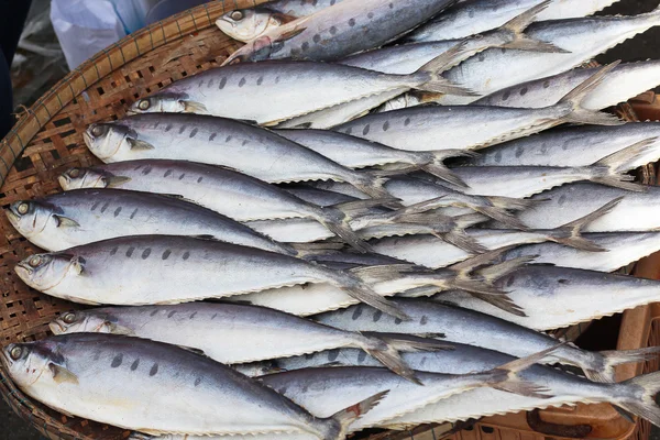 Abundância de peixe na bandeja no mercado para vender — Fotografia de Stock