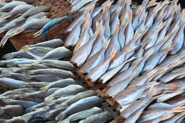 Un sacco di pesce senza testa al mercato per la vendita — Foto Stock