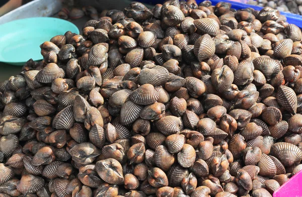 Beaucoup de coques fraîches sur le plateau du marché à vendre — Photo