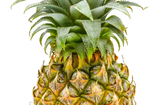 Izolované z ovoce ananas na bílém pozadí — Stock fotografie