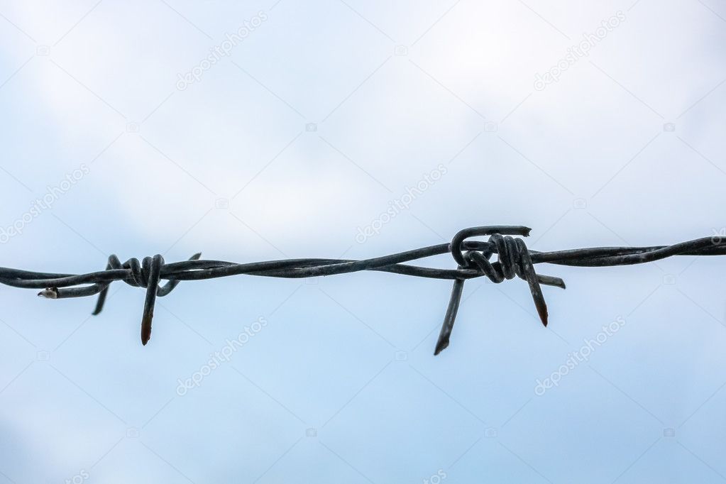 close up barbed wire on sky background