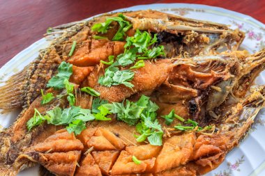 Yakın derin kızarmış levrek ile balık sosu (Pla Ga Pong Tod Nam Pla) plaka süslemeleri kişniş maydanoz ile yukarı yapraklar