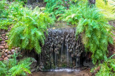 Bahçedeki küçük şelale kapatın