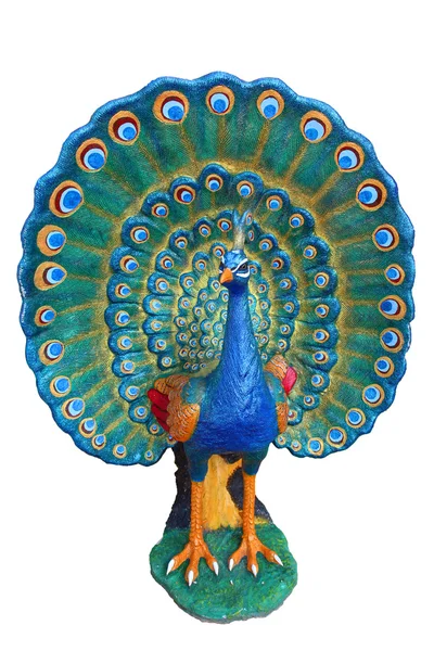 Isolated of the colorful peacock  in white background — Stock Photo, Image