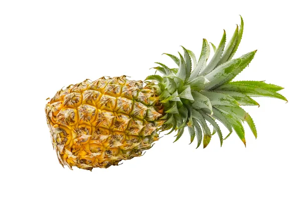 Izolované z ovoce ananas na bílém pozadí — Stock fotografie
