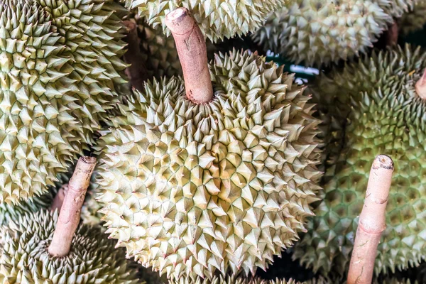 Durian fruit, King of fruits,  Southeast Asia as the \