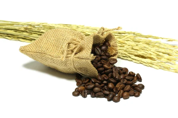 Feijão de café isolado em um saco de serapilheira com espiga de arroz sobre fundo branco — Fotografia de Stock