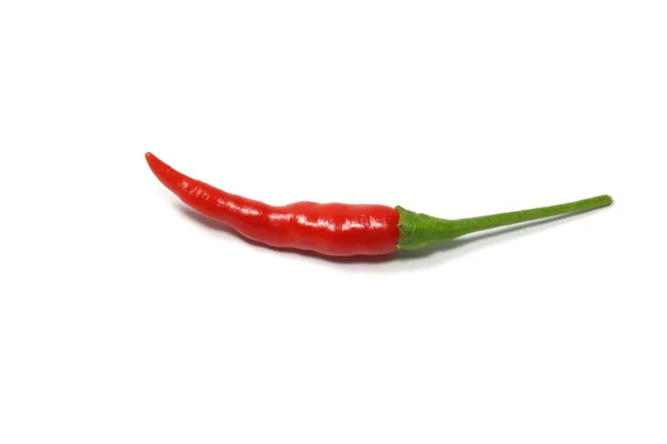 Röd varm chili peppar isolerad på en vit bakgrund — Stockfoto