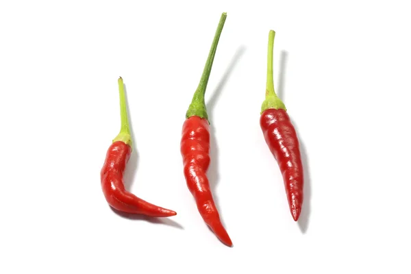 Rode hete chili peper geïsoleerd op een witte achtergrond — Stockfoto