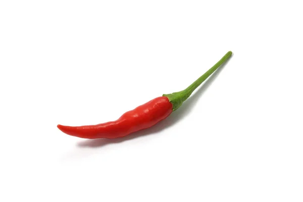 Röd varm chili peppar isolerad på en vit bakgrund — Stockfoto