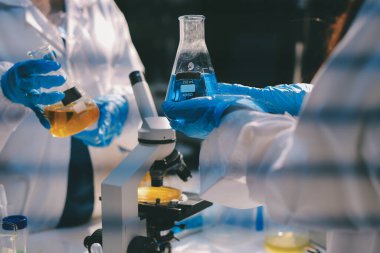 Klinik laboratuvarında çalışan araştırmacılar.