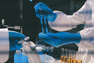 Klinik laboratuvarında çalışan araştırmacılar.