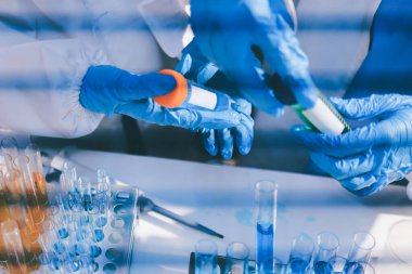 Klinik laboratuvarında çalışan araştırmacılar.