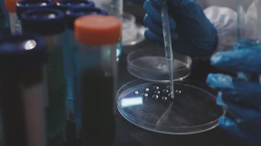 Klinik laboratuvarında çalışan araştırmacılar.