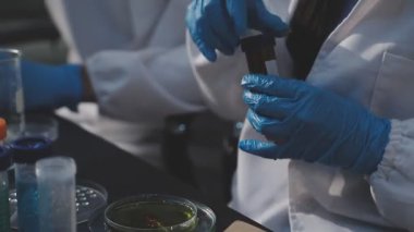 Klinik laboratuvarında çalışan araştırmacılar.