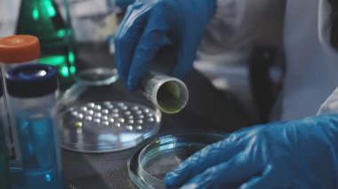 Klinik laboratuvarında çalışan araştırmacılar.