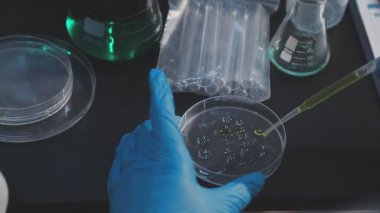 Klinik laboratuvarında çalışan araştırmacılar.