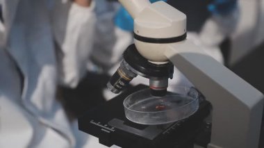 Klinik laboratuvarında çalışan araştırmacılar.