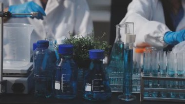 Klinik laboratuvarında çalışan araştırmacılar.