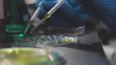 Klinik laboratuvarında çalışan araştırmacılar.