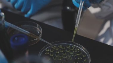 Klinik laboratuvarında çalışan araştırmacılar.