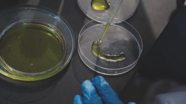 Klinik laboratuvarında çalışan araştırmacılar.