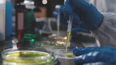 Klinik laboratuvarında çalışan araştırmacılar.