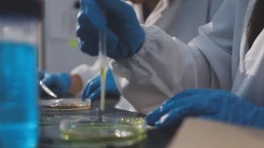 Klinik laboratuvarında çalışan araştırmacılar.