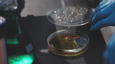 Klinik laboratuvarında çalışan araştırmacılar.