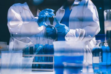 Klinik laboratuvarında çalışan araştırmacılar.