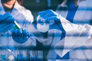 Klinik laboratuvarında çalışan araştırmacılar.