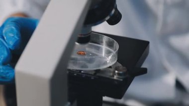 Arka plan için mikroskop ile Bilim tıbbi laboratuvar ekipmanları