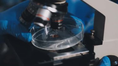 Arka plan için mikroskop ile Bilim tıbbi laboratuvar ekipmanları