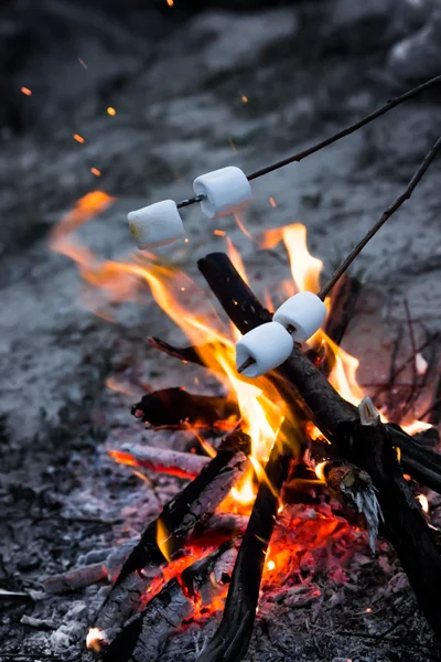 Marshmallows roast on bonfire in the evening. — Stock Photo, Image