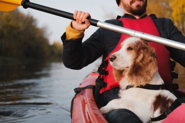 Köpeğiyle kanoda kürek çeken bir adam, güneşli sonbahar havası. Nehirde köpeklerle kanoya binmek, aktif hayvanlar, mutlu bir köpek ve bir serüvenin sahibi.